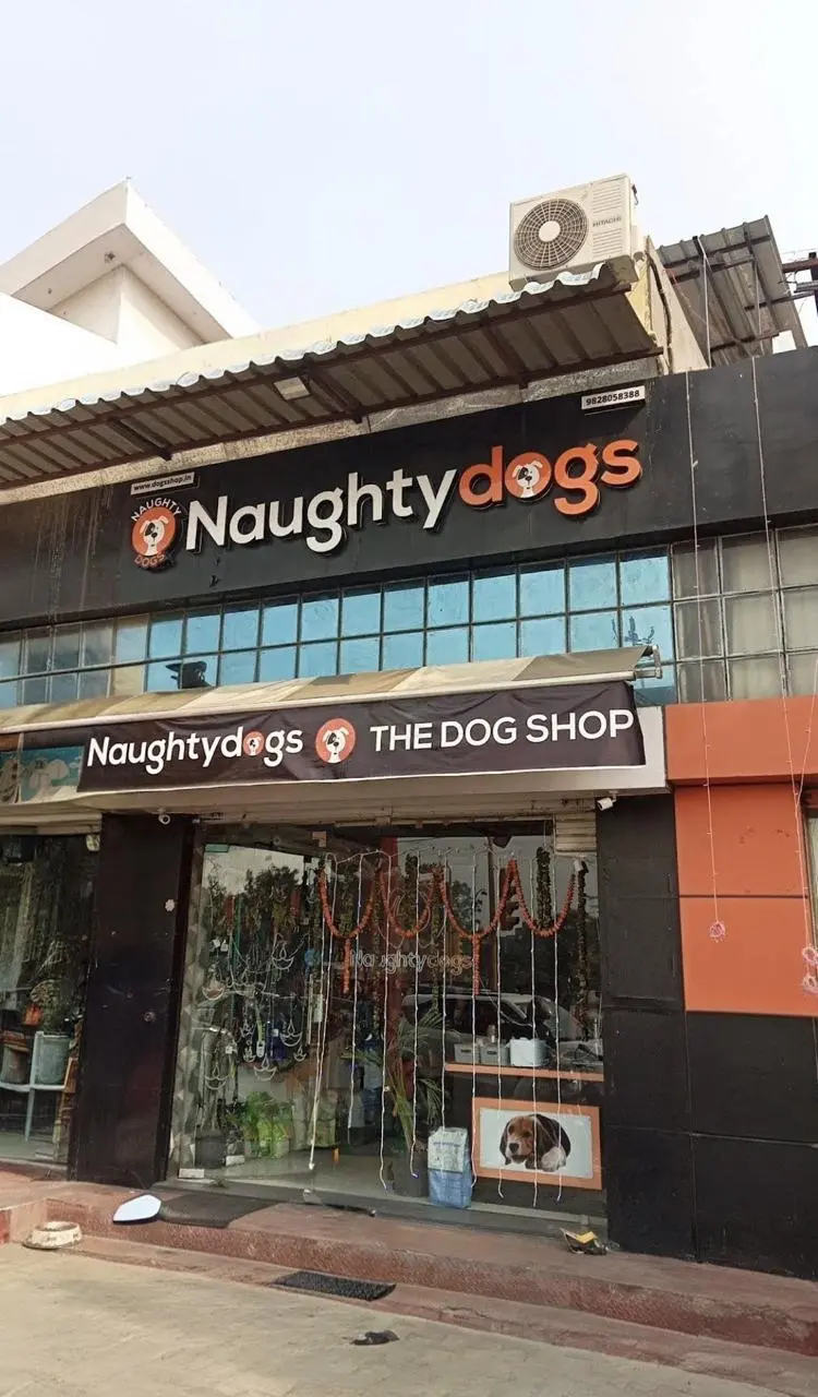 Naughty Dogs Pet Shop Store Front Jaipur