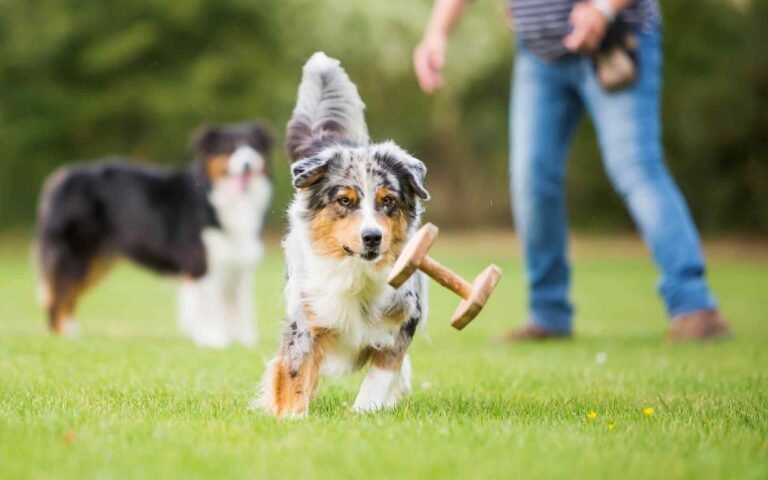 How to Choose the Perfect Daycare?