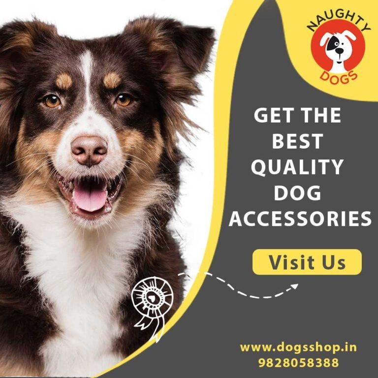 Dog Accessories Online | Dog Accessories Near Me | Dog Accessories Shop In Jaipur | Pet Accessories Near Me