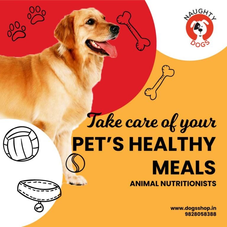 Dog Food In Jaipur