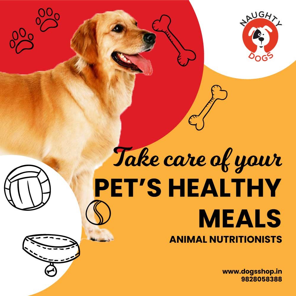 dog food online store near me