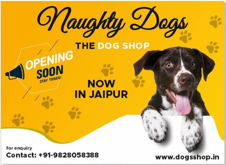 Naughty Dogs Is Coming To Jaipur | Best Dog Shop In Jaipur | Dog For Sale In Jaipur | Dog Breeds In Jaipur