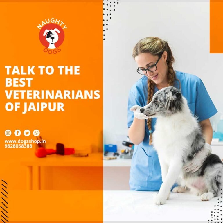 Veterinary Doctor Near Me | Veterinary Hospital Near Me