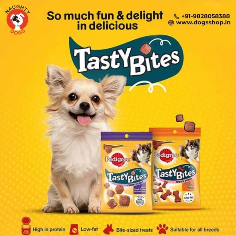 Best Dog Food Shop in Jaipur