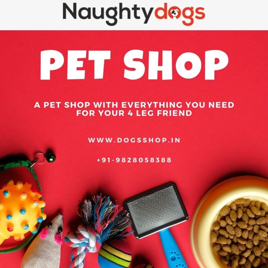 online pet shop in jaipur