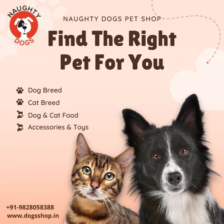 Puppies and dogs for sale