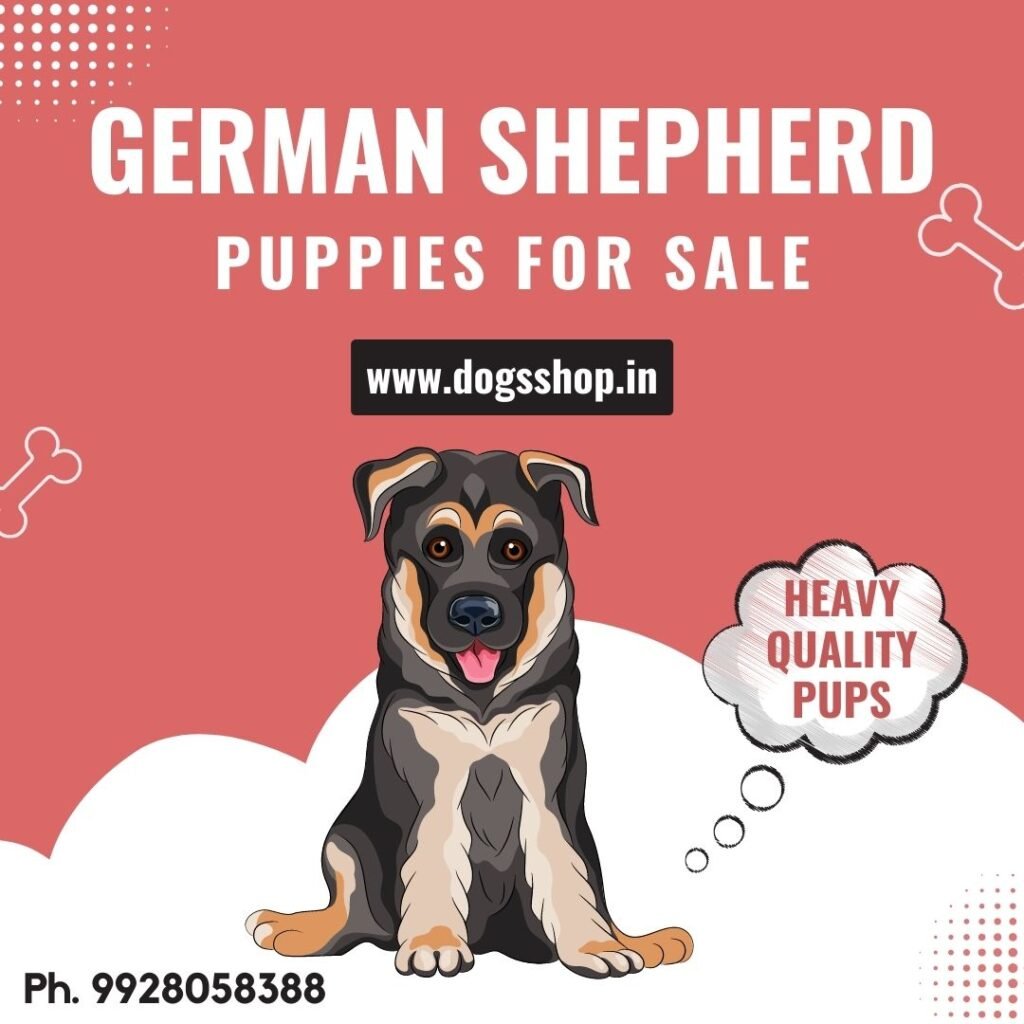german shepherd puppy for sale