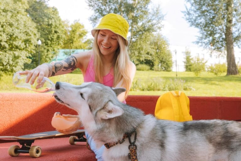 Ways to Make Your Dog Drink Enough Water