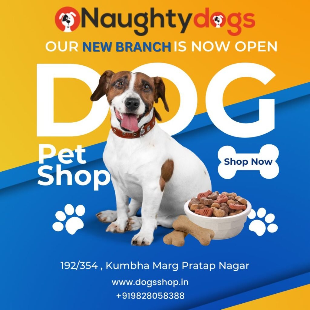 buy dog in pratap nagar jaipur