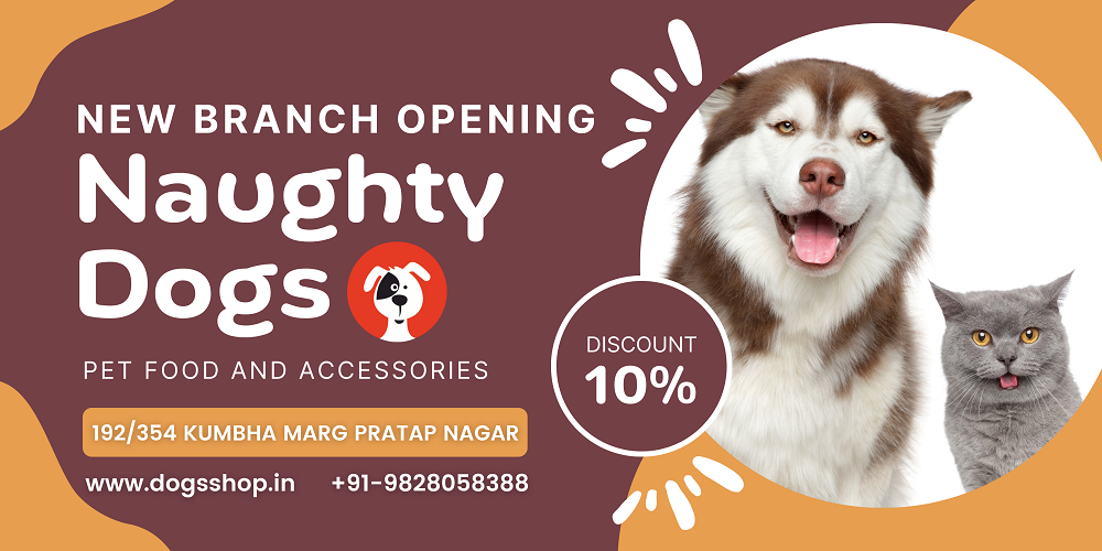 dog shop in pratap nagar jaipur