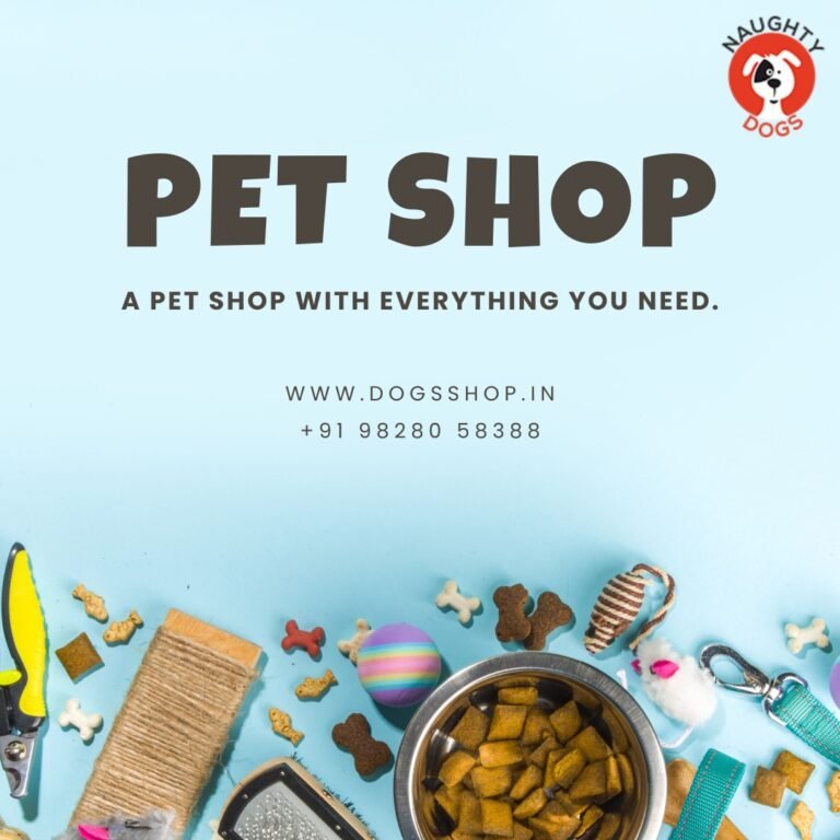Best Dog Shop in Jaipur with Price List – Visit Naughty Dogs