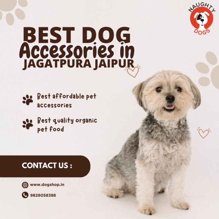 Best Dog Accessories in Jagatpura Jaipur | The Naughty Dog