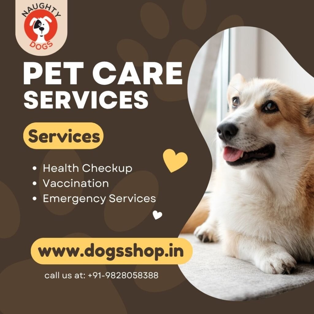 "Pet care services at Naughty Dogs - best dog clinic in Jaipur offering health checkups, vaccinations, and emergency vet care"