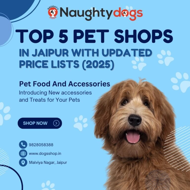 🐶 Top 5 Pet Shops in Jaipur With Updated Price Lists (2025)
