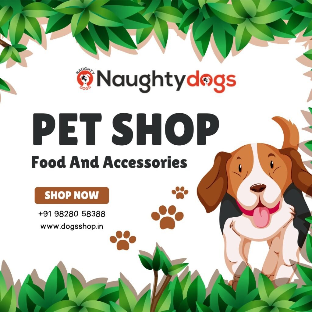 Puppy shop in jaipur