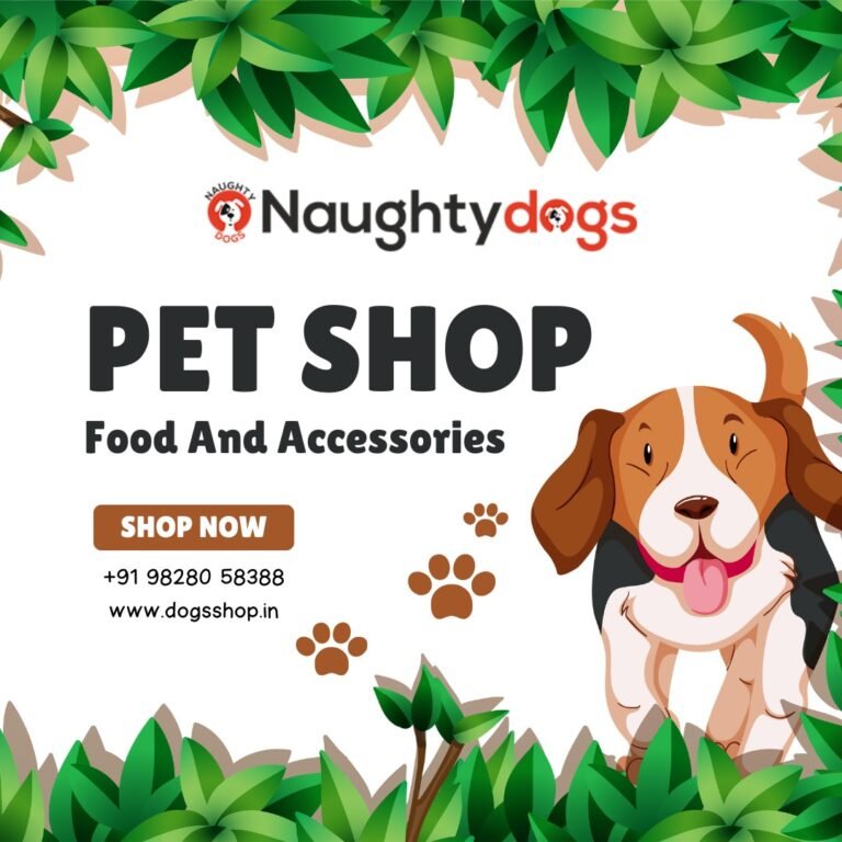 Why Choosing the Right Puppy Shop in Jaipur Matters for Every Pet Lover