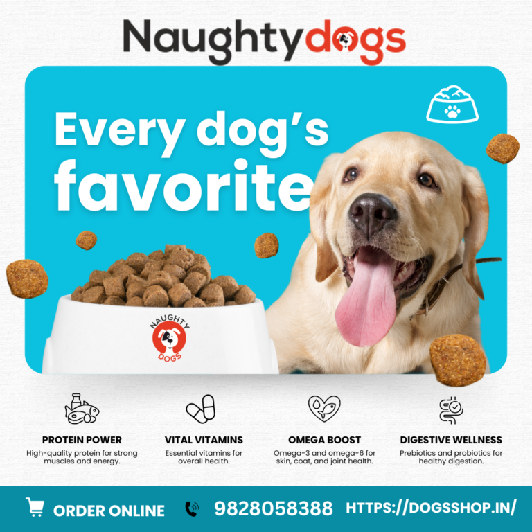 🐶 Dog Food Near Malviya Nagar Jaipur – Best Dog Food Shop in Jaipur with Price List | Naughty Dogs -2026
