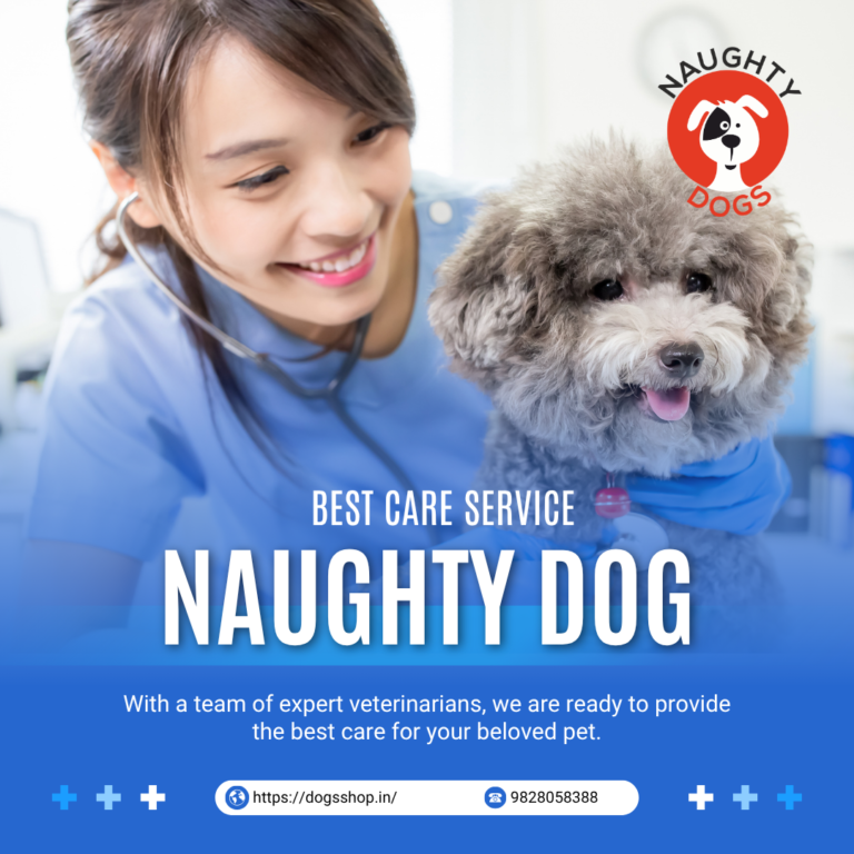 🐾 Best Vet Doctor in Malviya Nagar – Expert Pet Care by Naughty Dog