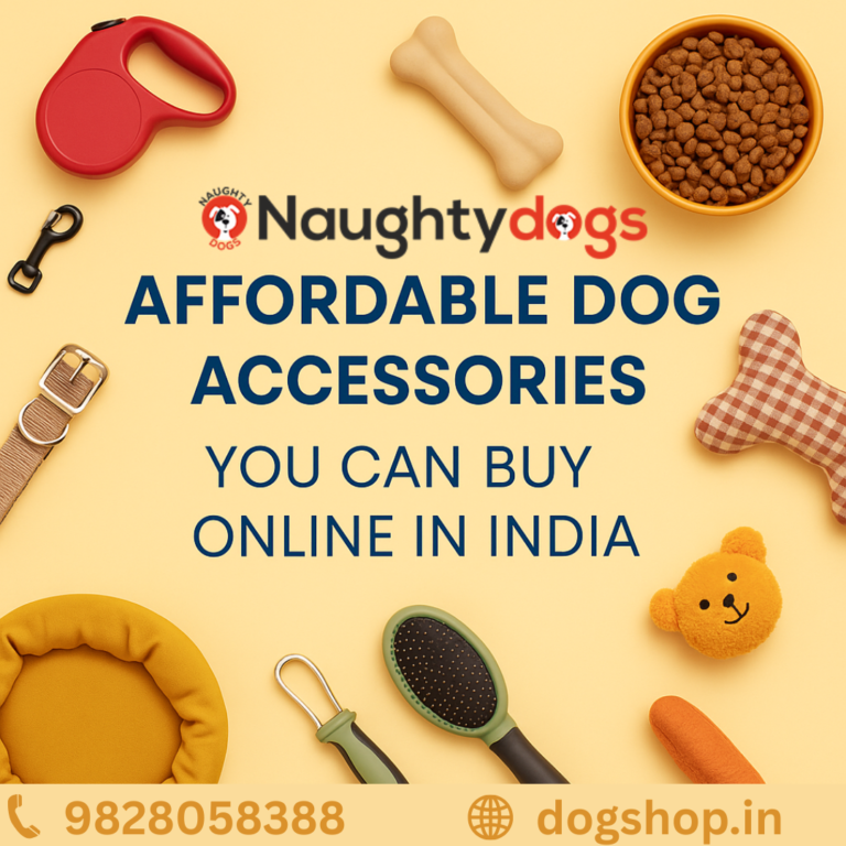 Affordable Dog Accessories You Can Buy Online in India