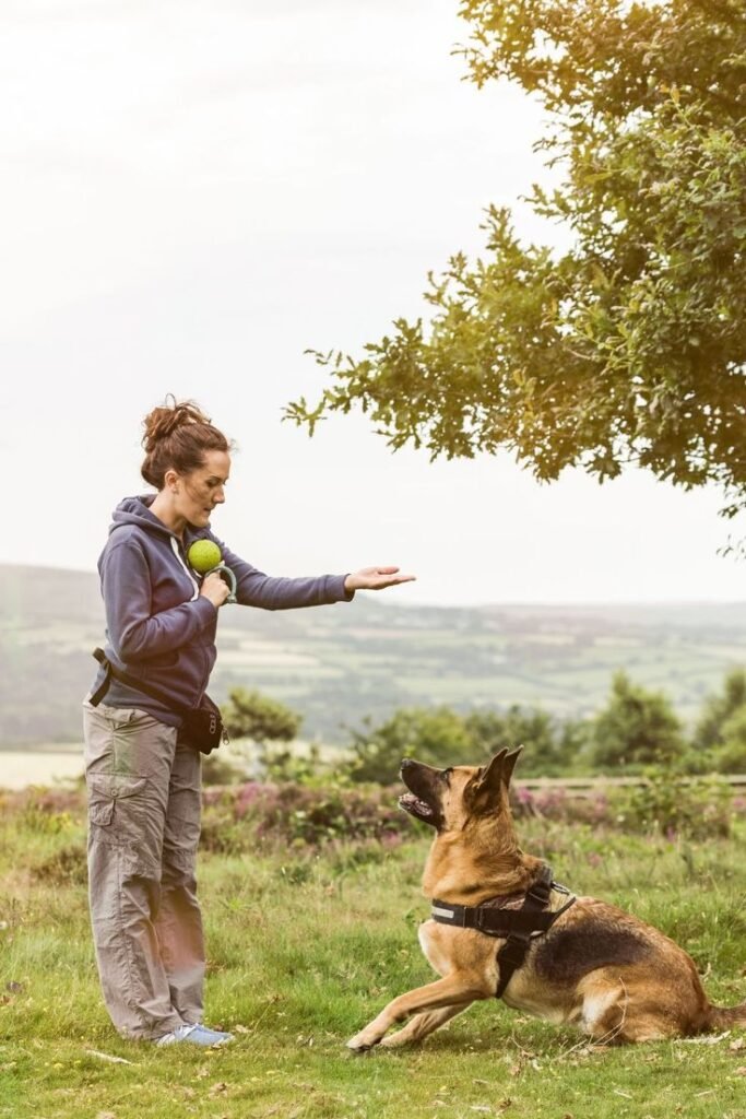 Top 10 Must-Have Dog Products for New Pet Parents [2025 Edition]