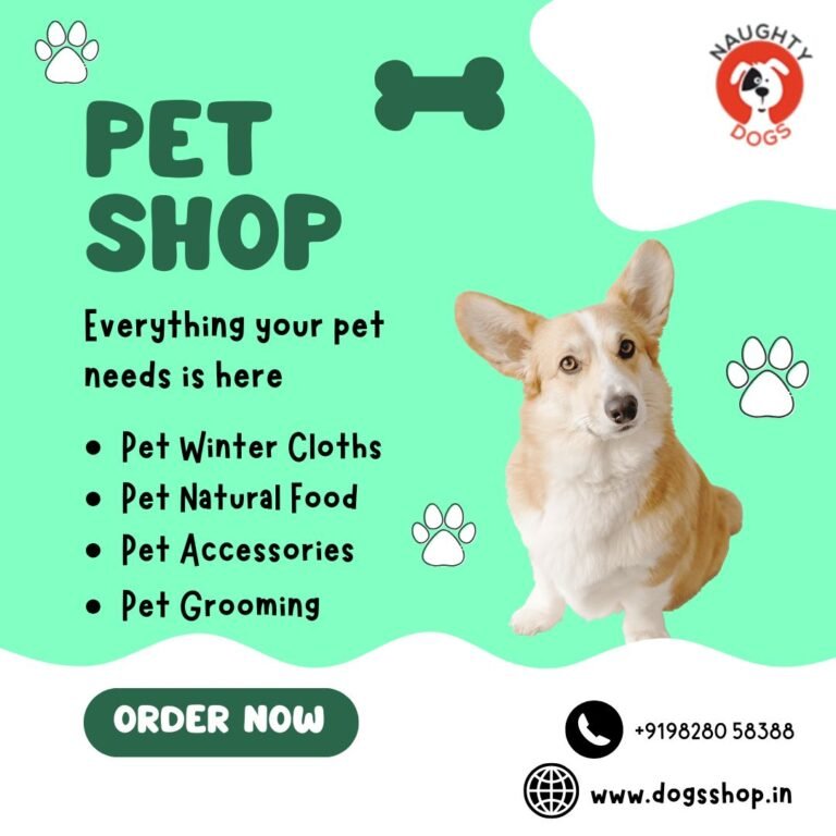 🐾 The Best Pets Clothes and Accessories in Jaipur: Diwali & Winter Special Styles from Naughty Dogs