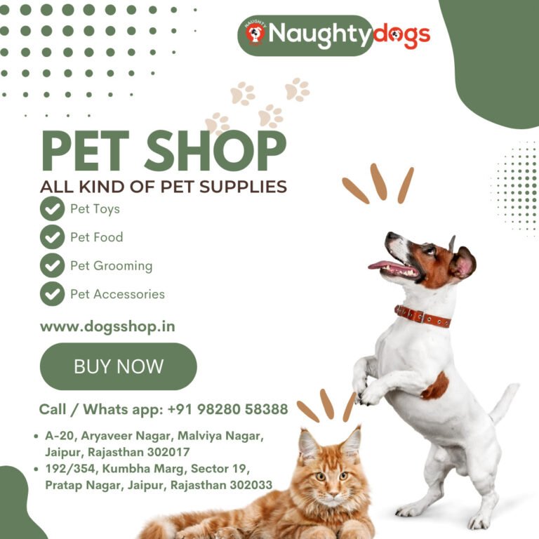 Best Pet Shops Near Me in Jaipur – Buy Winter Clothes for Dogs.