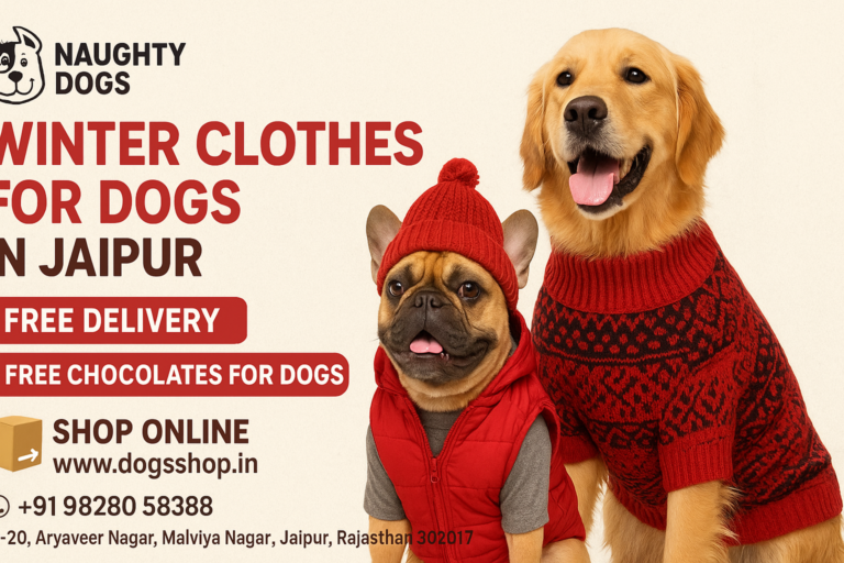 🐾 Best Winter Clothes for Dogs in Jaipur – Keep Your Furry Friend Warm with Naughty Dogs 🧣