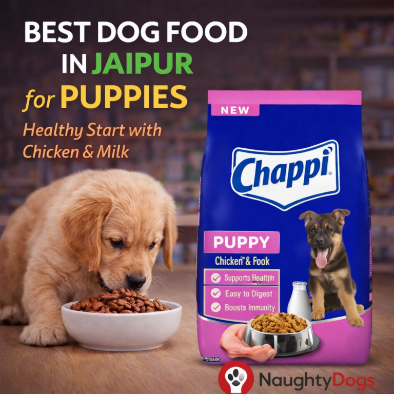 Best Dog Food in Jaipur for Puppies say yes to Chappi Puppy Chicken & Milk