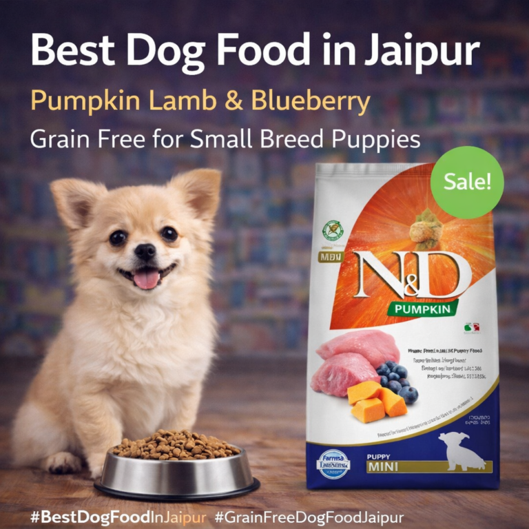 Best Dog Food in Jaipur | Grain Free Puppy Food with Lamb & Blueberry