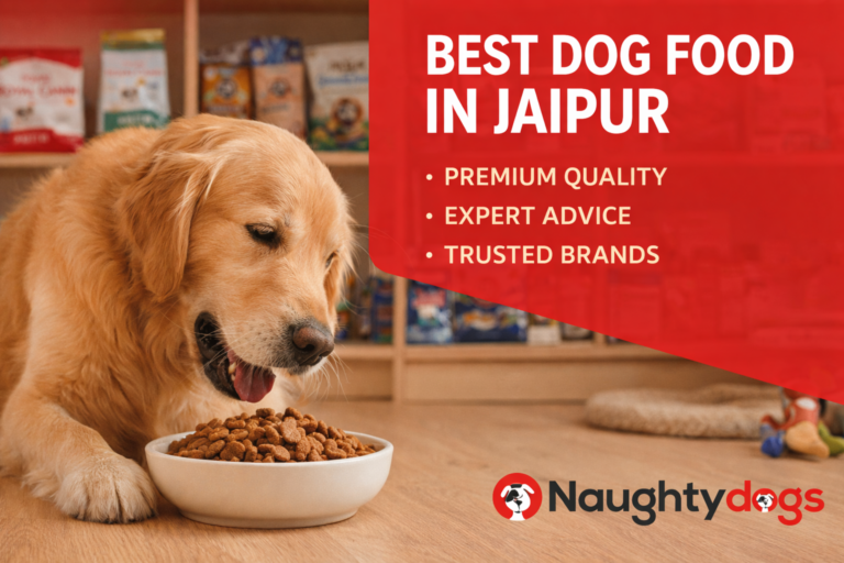 Best Dog Food in Jaipur for Strong, Healthy & Happy Dogs