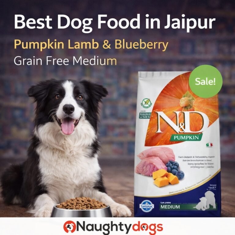 Best Dog Food in Jaipur | Pumpkin Lamb & Blueberry Grain