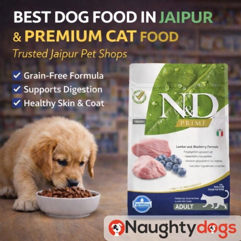 Best Dog Food in Jaipur Pet Shops | Farmina N&D Lamb