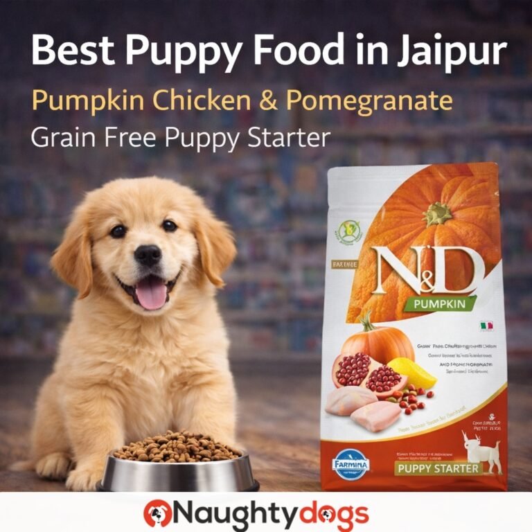 Best Dog Food in Jaipur | Pumpkin Chicken & Pomegranate Grain Free Puppy Food